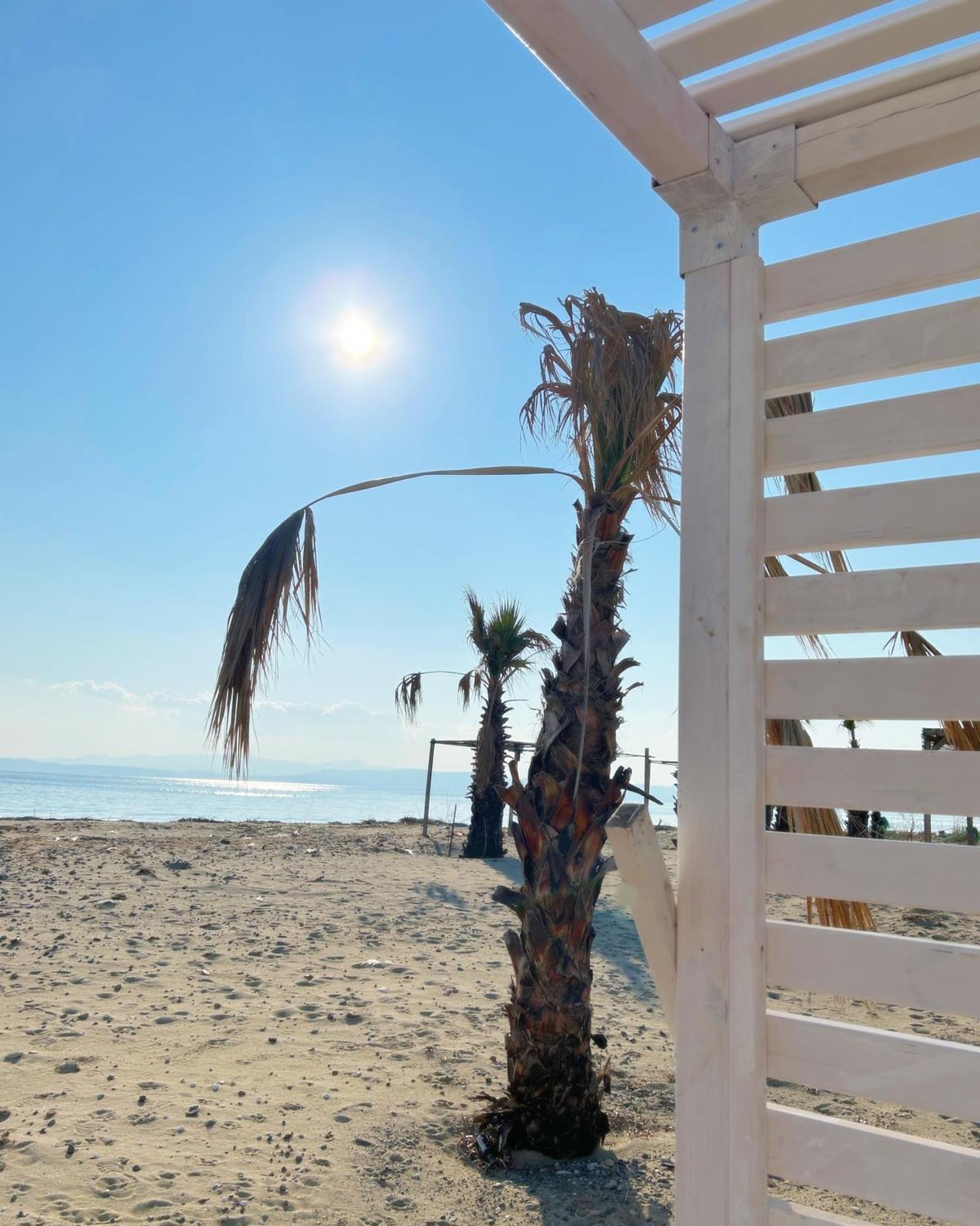 Готель Soho Ayvalik Beach House Kucukkoy  Екстер'єр фото